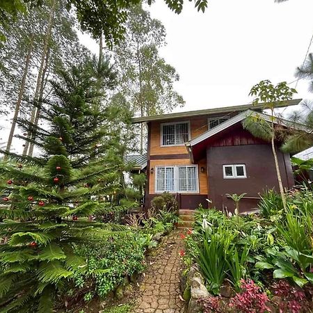 Dahilayan Comfy Cabin Manolo Fortich ภายนอก รูปภาพ
